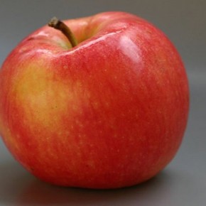 Самое большое яблоко в мире